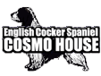COSMO HOUSE